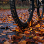 Gravel and Commuter Tire Choice: Grip for Leaf-Covered Roads