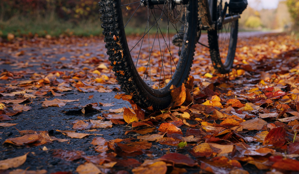 Gravel and Commuter Tire Choice: Grip for Leaf-Covered Roads